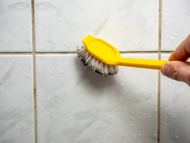 Best Black Mold Removal  in Kincheloe, MI