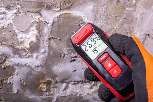 Best Mold Removal Company Near Me  in Kincheloe, MI