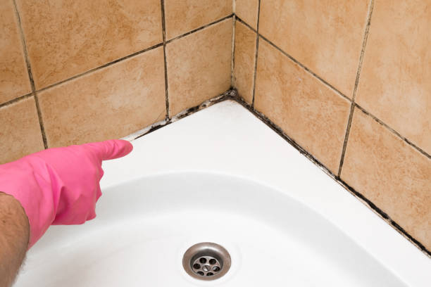 Best Mold Testing  in Kincheloe, MI